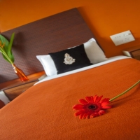 Landmark_Asia_Apartment_09